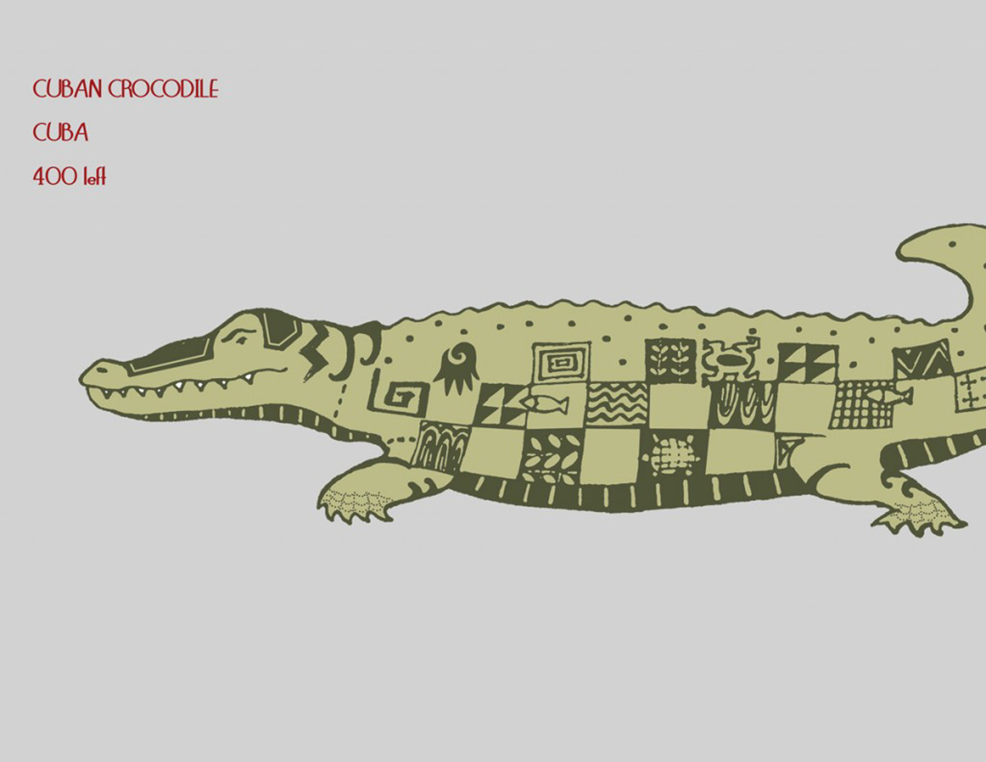 4a-cuban-crocodile